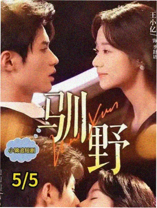 生活温情剧小巷人家封面